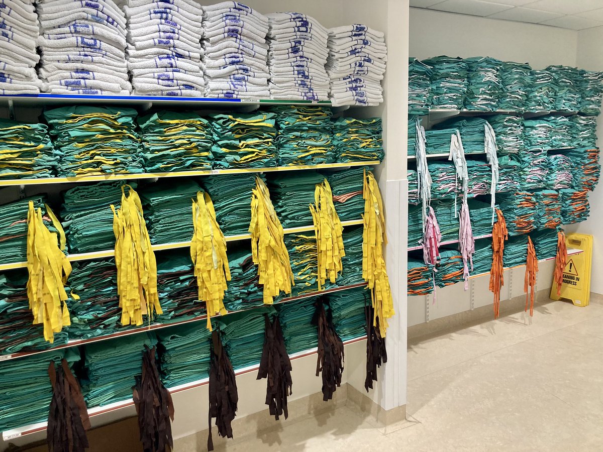 drzoeburton's tweet image. This sight makes my heart sing every morning ❤️ So lucky @SheffChildrens to have our amazing housekeeper Denise. She’s taught us a thing or two about “shokunin” a Japanese word roughly meaning devotion to one’s craft, the spirit that drives work ethic and discipline #prideinwork