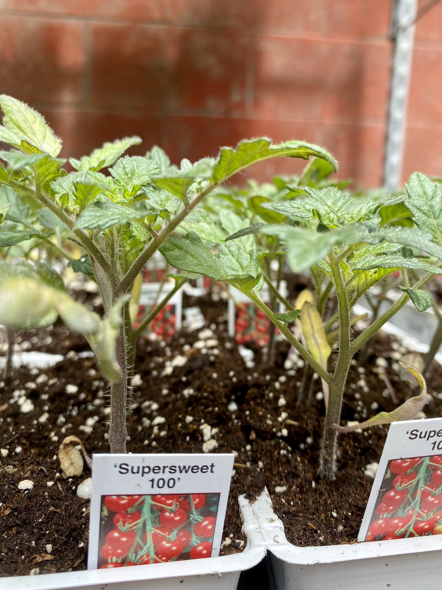 Halifax Seed Company on Twitter check out our garden centres in