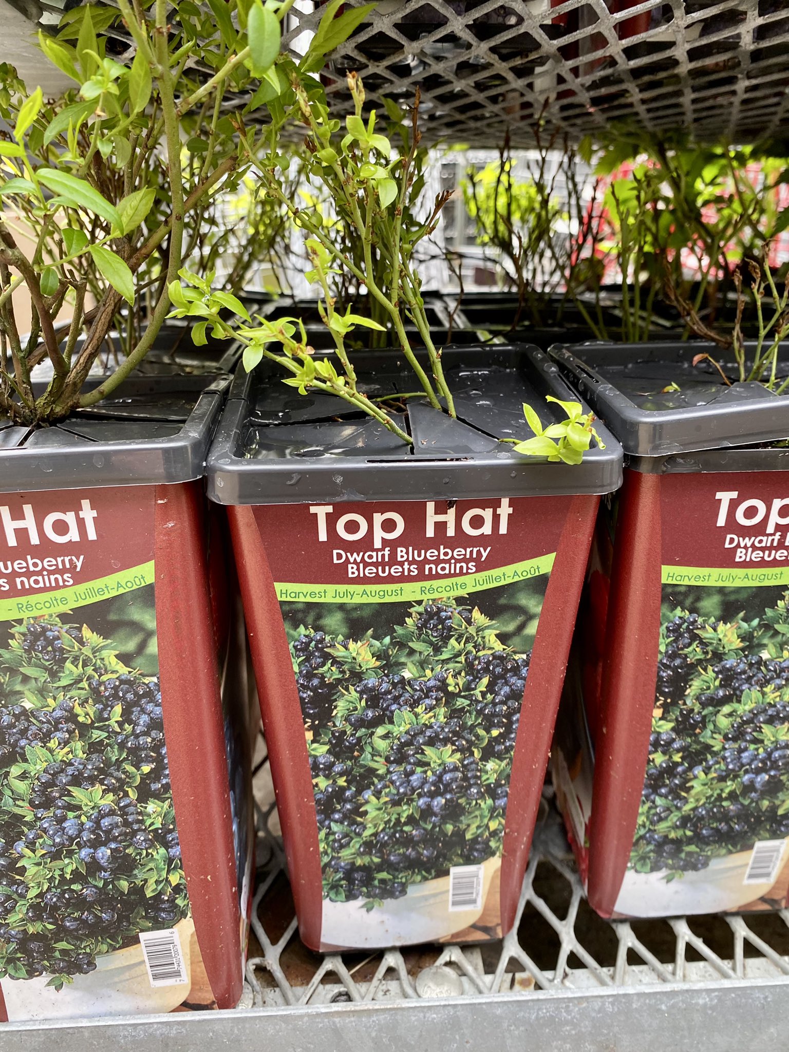 Halifax Seed Company on Twitter check out our garden centres in