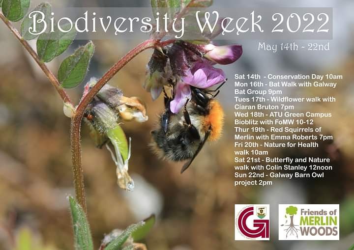 #Biodiversityweek2022 #Merlinwoods #Galway #Stepintothewild #NatioanlBiodiversityweek