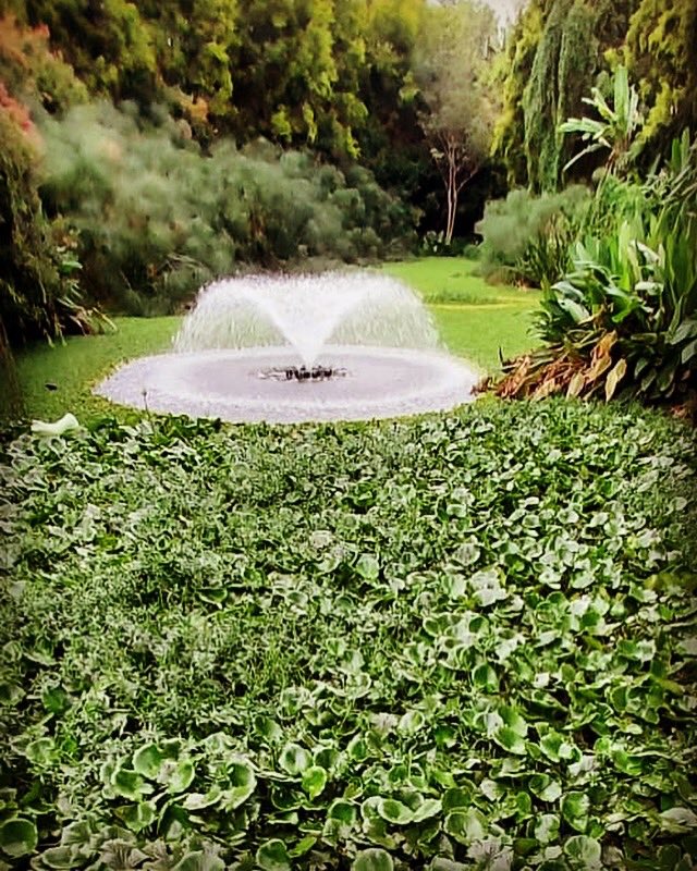 gauravmibm's tweet image. #requirements keep coming as discrete water streams or cannons &amp;amp; it is the proactiveness, readiness &amp;amp; right alignment of teams that helps deal with them in d best way.
#leadershipmatters 
#natureateacher 
#teamworkmakesthedreamwork 
#bealeader 
#inclusiveleadership 
#infycampus