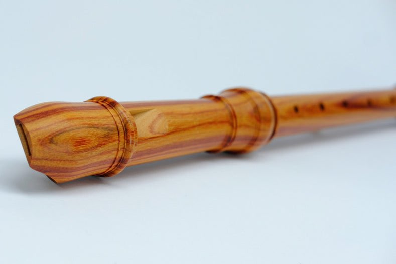 earlymusicshop's tweet photo. A few fine examples of Moeck Rottenburghs in rosewood, boxwood and palisander. The #Moeck Rottenburghs are without doubt one of the world’s most successful series of recorder! See them online @ https://t.co/VJNo2nC6cF.
What’s your favourite #recorder wood? We like the rosewood! https://t.co/zImNUG4osT