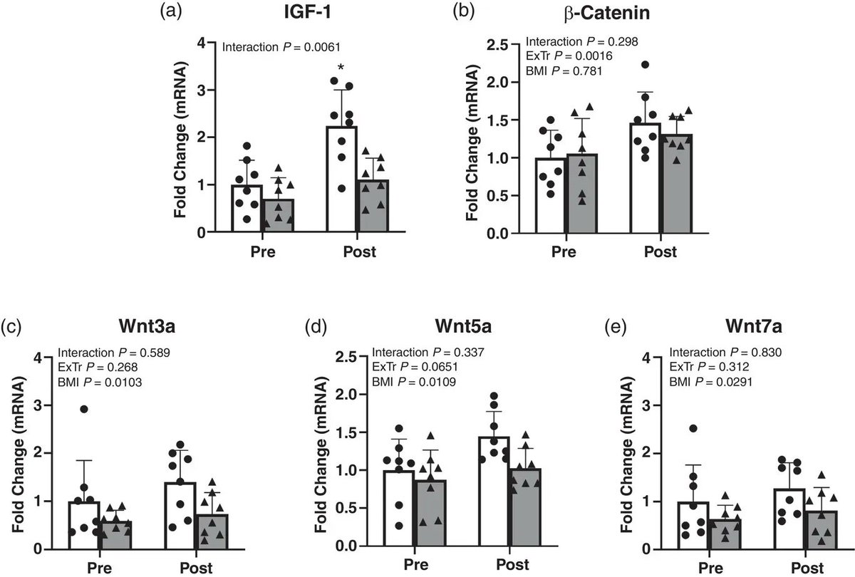 Experimental Physiology tweet media