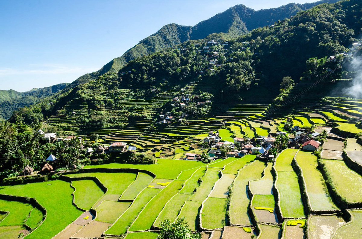 MidnytRed5223's tweet photo. @Yeezus_002 @AneroVerse I was here May 13, 2019. Banaue Rice Terraces (Philippines) was declared as the World Heritage Site by UNESCO, built with minimal equipment, largely by hand. This is my favorite because it really shows that Filipinos are hard-working, diligent and enthusiastic. https://t.co/kPNt2on4qB
