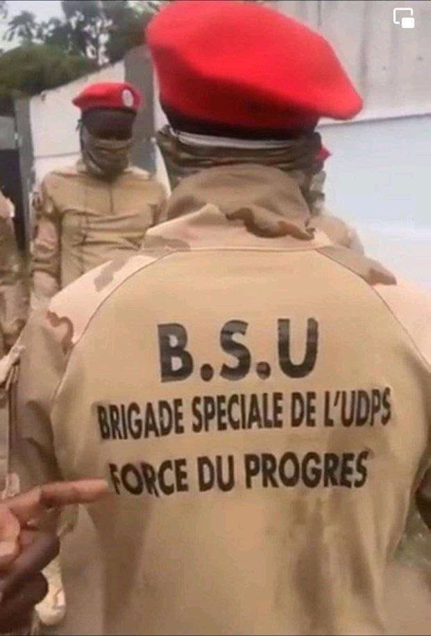 RADIOONDESEFM's tweet image. #RDC: Le parti au pouvoir #UDPS cree une milice pour conserver son pouvoir.Une milice en pleine capitale en béret rouge alors qu&apos;interdit formellement par le Min de l&apos;intérieur,et considéré comme rébellion. La pop craint que le cas des #imbonerakure du #Burundi n&apos;arrive en #RDC