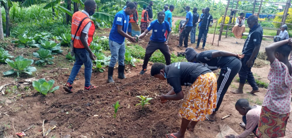 MutenderiV's tweet photo. None bwana @JeanRutsinga Focal point wa @MutenderiV yifatanyije na @MutenderiV mu muganda wo kubaka imirima y' igikoni muri #modal_Village iherereye mu mudugudu wa #Agatonde akagali #mutenderi muri @Mutenderi_Sect
@NgomaYouth @RwandaYouthVol1 @RwandaLocalGov @LODARwanda https://t.co/IjMvQBq2f1