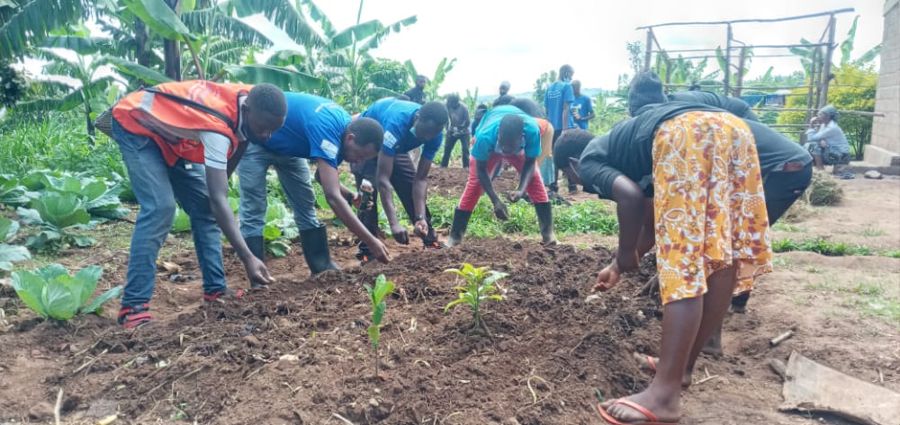 MutenderiV's tweet photo. None bwana @JeanRutsinga Focal point wa @MutenderiV yifatanyije na @MutenderiV mu muganda wo kubaka imirima y' igikoni muri #modal_Village iherereye mu mudugudu wa #Agatonde akagali #mutenderi muri @Mutenderi_Sect
@NgomaYouth @RwandaYouthVol1 @RwandaLocalGov @LODARwanda https://t.co/IjMvQBq2f1