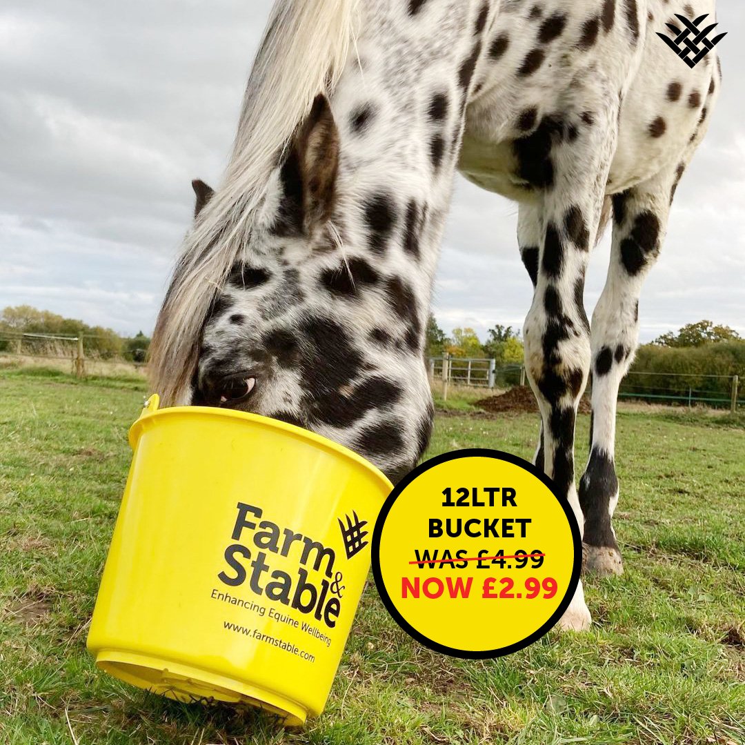 FarmStable's tweet photo. Our favourite Yellow Tough Buckets are in our Spring Offers! Horse owners love these buckets as they are virtually indestructible and you can spot them from a mile away! Do you have yours yet?? 💛

#YellowToughBucket #equinesupplies  #FarmStable_UK #farmstableuk #horse #horses https://t.co/ffUcWgYRjm