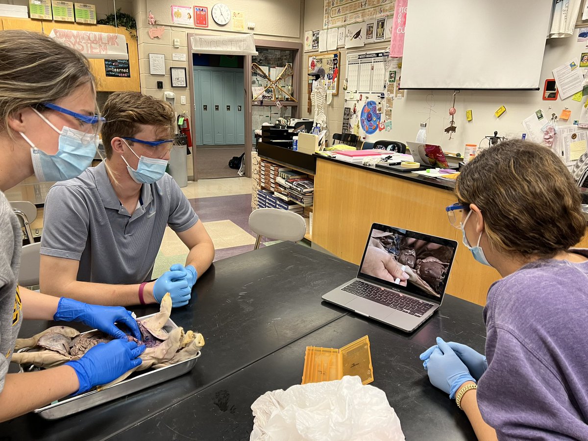 cpgzisme's tweet photo. 2nd to the last day of classes for my @RutgersPrep 12th grade #HAP students! Keeping them engaged with hands-on activity. Oral Lab Practical on Tuesday! Is there a future #Doctor or #Physicaltherapist in the house? #anatomy #scienceteacher #anatomyteacher #offtocollegesoon https://t.co/ovNeqD6Zvc