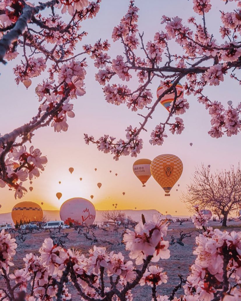 earthcurated's tweet photo. Cappadocia, Turkey 🌸 https://t.co/tREchaeMsM