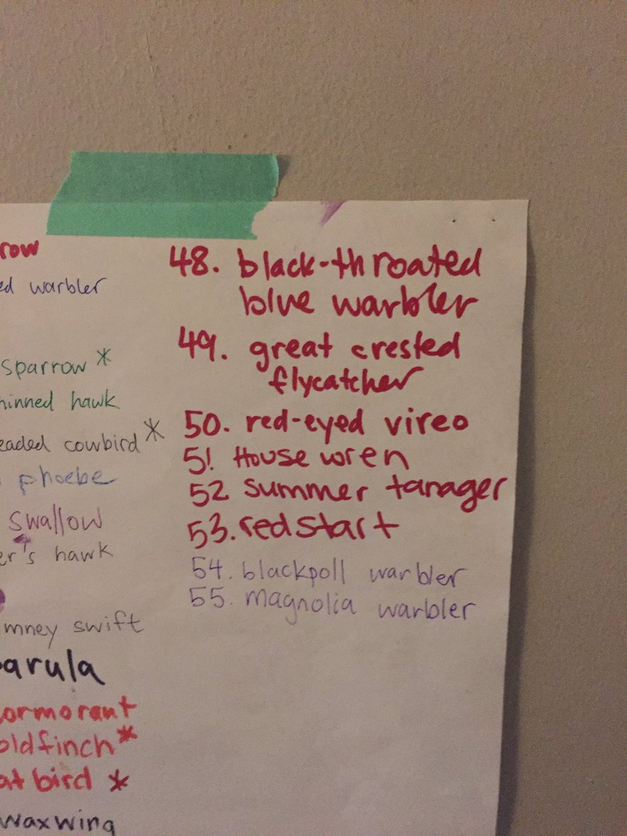 Two new additions to the yard bird list this morning! Everyone should go outside and try to catch the warbler wave! #BirdTwitter