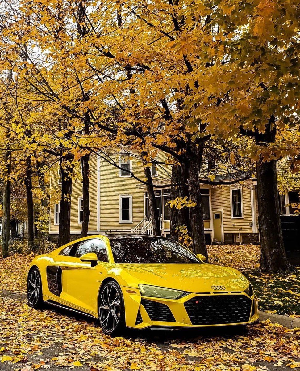 WorldWideCarsTM's tweet photo. Audi R8 Performance 🍁 https://t.co/qM15W5uHAJ