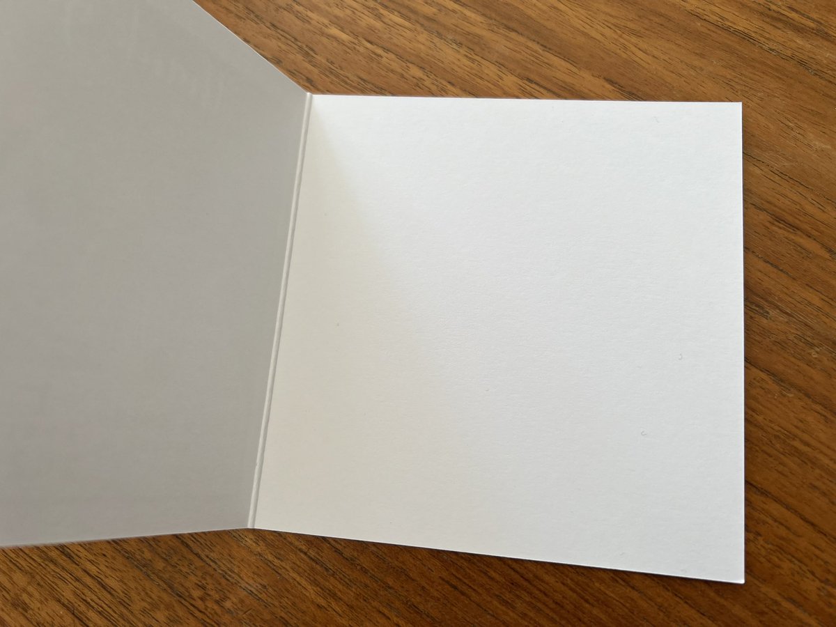 lindseysagar's tweet photo. Thanks for my invisible printed cards that arrived late and on the wrong card stock! @solopress #poorservice https://t.co/dIdgapgbyl