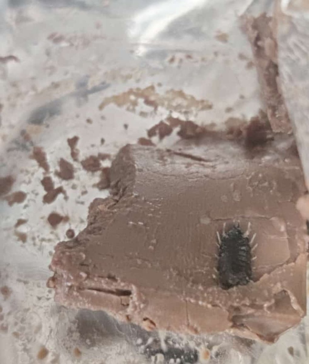 UmangDaga93's tweet photo. See what my friend finds while having his last bite of his favourite trusted brand   @DairyMilkIn 
#QualityCheck? 
He Saw a 🐞🤬🤬🤬😡. 
#Trustbroken 
 @fssai @jaagograhakjago @MOFPI_GOI 
Request you to take some quick action 
#MediaSupport
@aajtak @TOIIndiaNews https://t.co/JUOK7Bx1RO