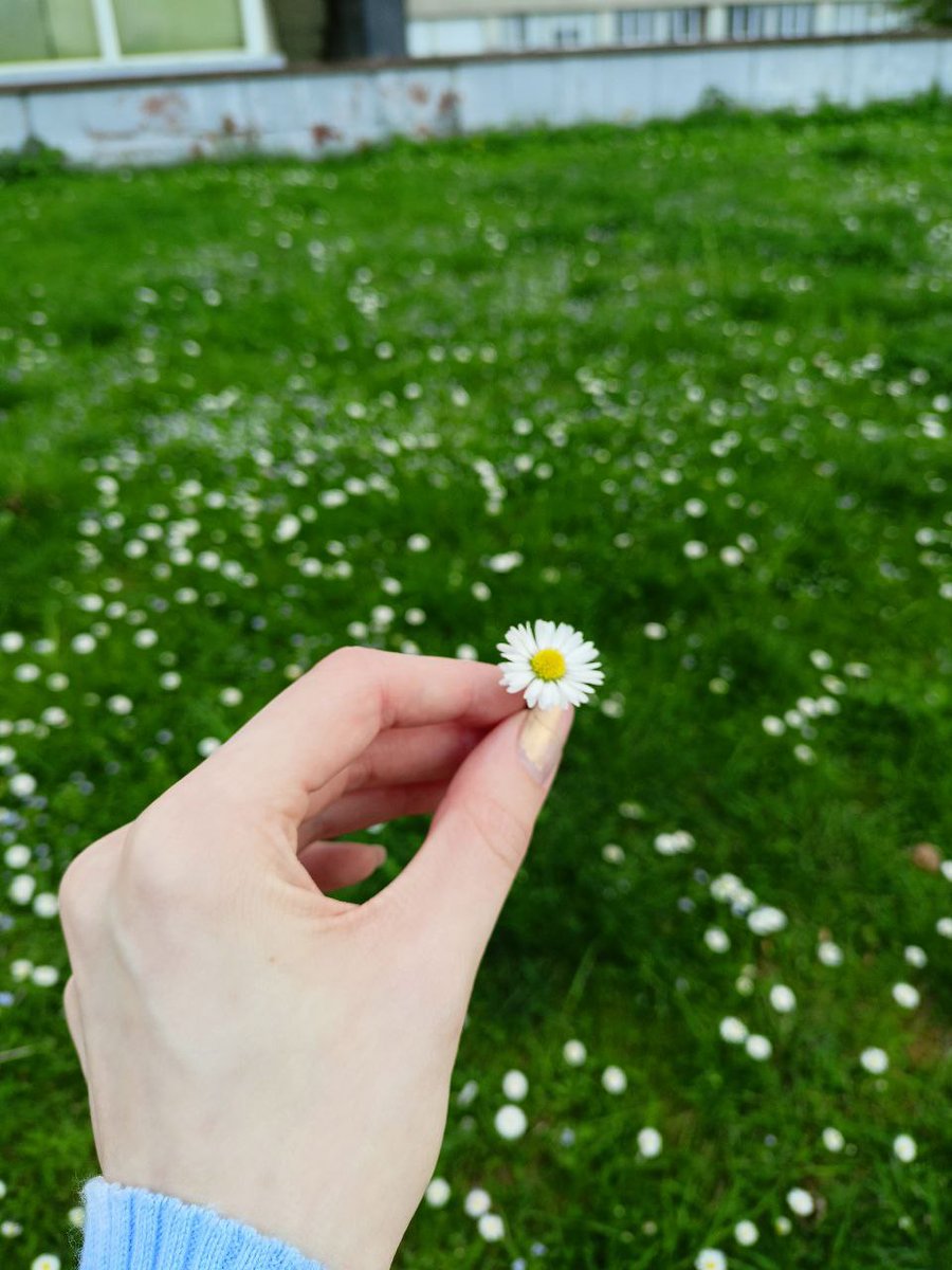 Allimeis's tweet photo. Весеннего настроения вам🍃
#mey7w
°
#SupportUkraine #life https://t.co/L5ud2AZl3b