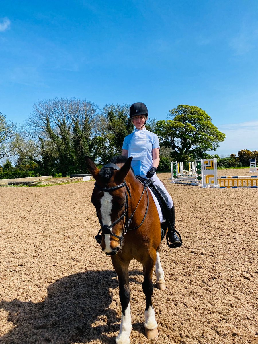 carol199's tweet photo. Survived my first Novice dressage test without falling off, forgetting the test or crying! #SuccessfulDay #GoodPony #Roxy #CobsCan #Dressage #Stressage #Sunshine https://t.co/usdQSf6Zas