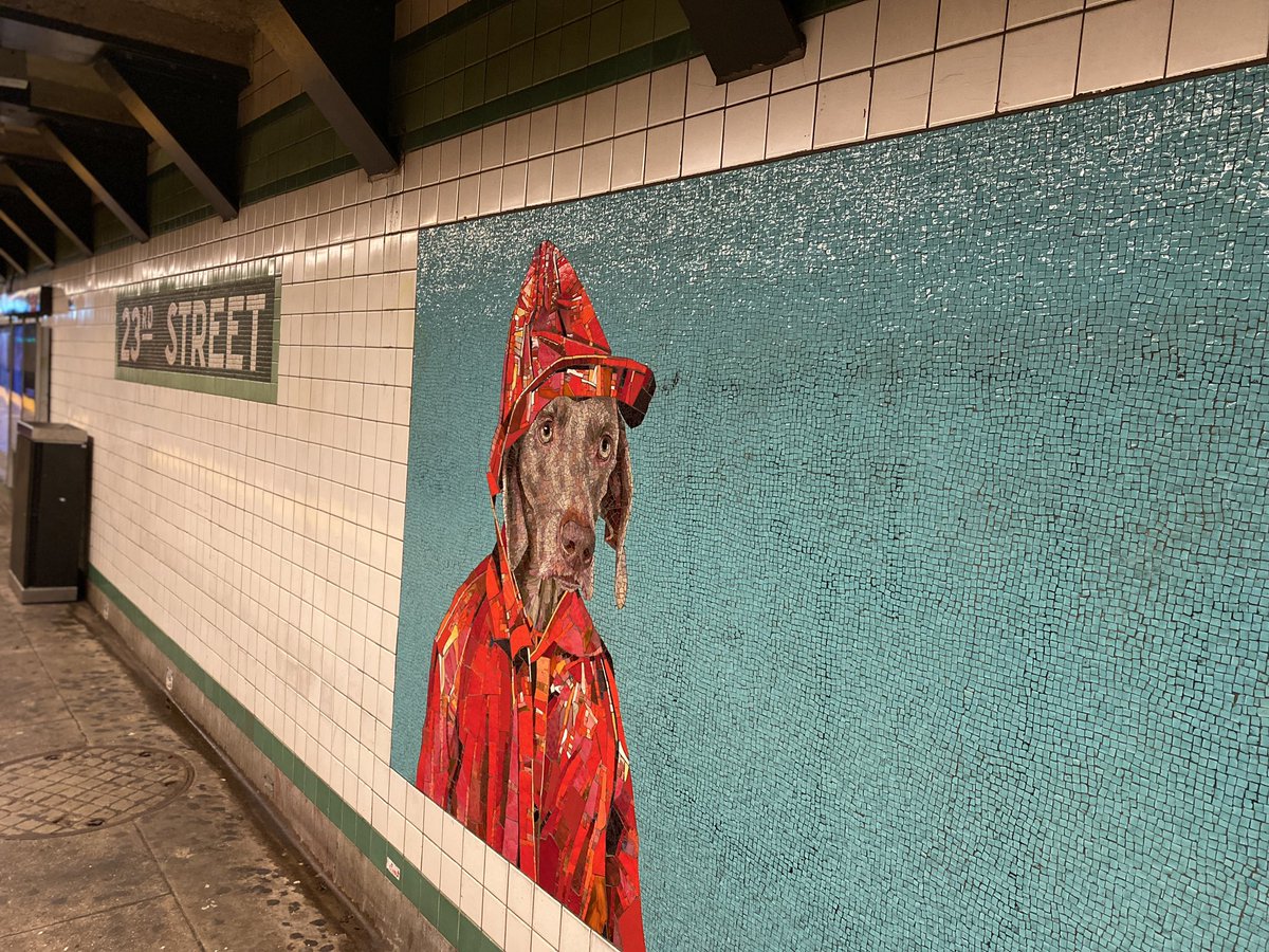 IAmAmeerah's tweet photo. 🐶@WilliamWegman mosaics at the 23rd Street subway in NYC.
https://t.co/tDYNl8uld6
#travel #art #wegman https://t.co/j6zGVl1FfN