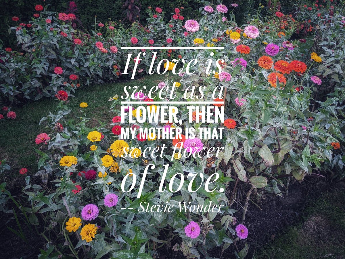 MysticRiverAcup's tweet photo. Happy Mother's Day 💝
#happymomsday #floweroflove #lovetomomseverywhere https://t.co/BHgkuhmVwy