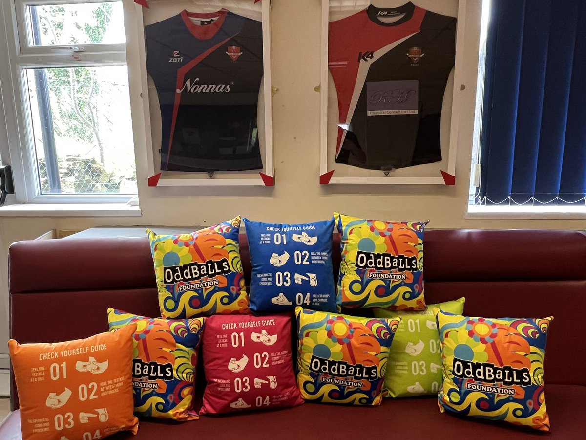 TH6_555's tweet photo. When @OddballsFDN send your rugby club cushions with a useful message! #checkemlads https://t.co/i5xmhzwSzN
