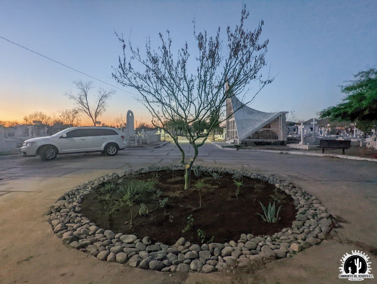 Caminantes del Desierto A.C. tweet media