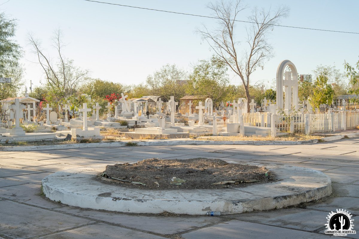 Caminantes del Desierto A.C. tweet media