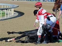 GayleJo09090587's tweet photo. @KentuckyDerby Wonder if all the horses will still be alive at the end of the day R.I.P. #EightBelles https://t.co/LKpOX2yUER