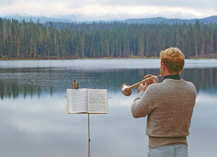 BruceHeinemann's tweet photo. Happy weekend! Many years ago I was playing trumpet etudes along a lakeshore from a book called: "Bach For Trumpet". Along came a Greyjay to listen. Who knew Bach is for the Birds! https://t.co/zKeINqS6kk