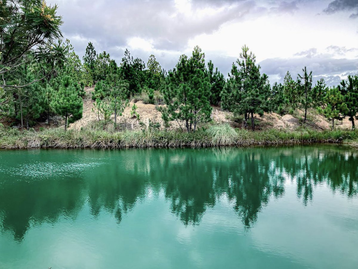 MarcianaJuana's tweet photo. Vayan a ese lugar
#pozosazules #villadeleyva https://t.co/3mbYdahUp5