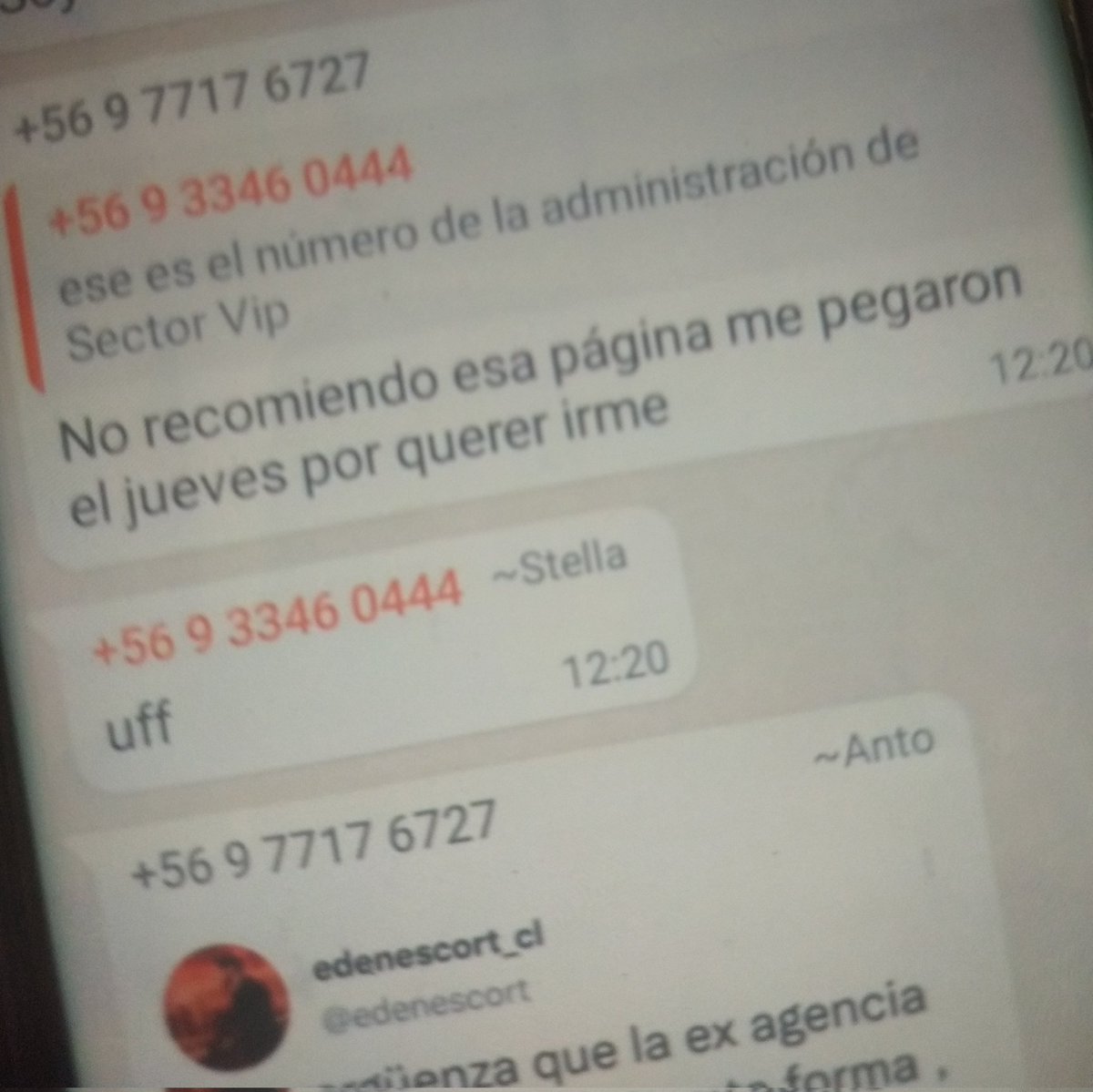 putaperocuica's tweet photo. @edenescort https://t.co/zBioWKG7XV es un portal no una agencia, en los descargos de ustedes dicen que no acusaron a sectorvip pero en redes sociales andan publicando lo que intentan desmentir en su comunicado. Ojo ahí. https://t.co/Tzgv306GEq