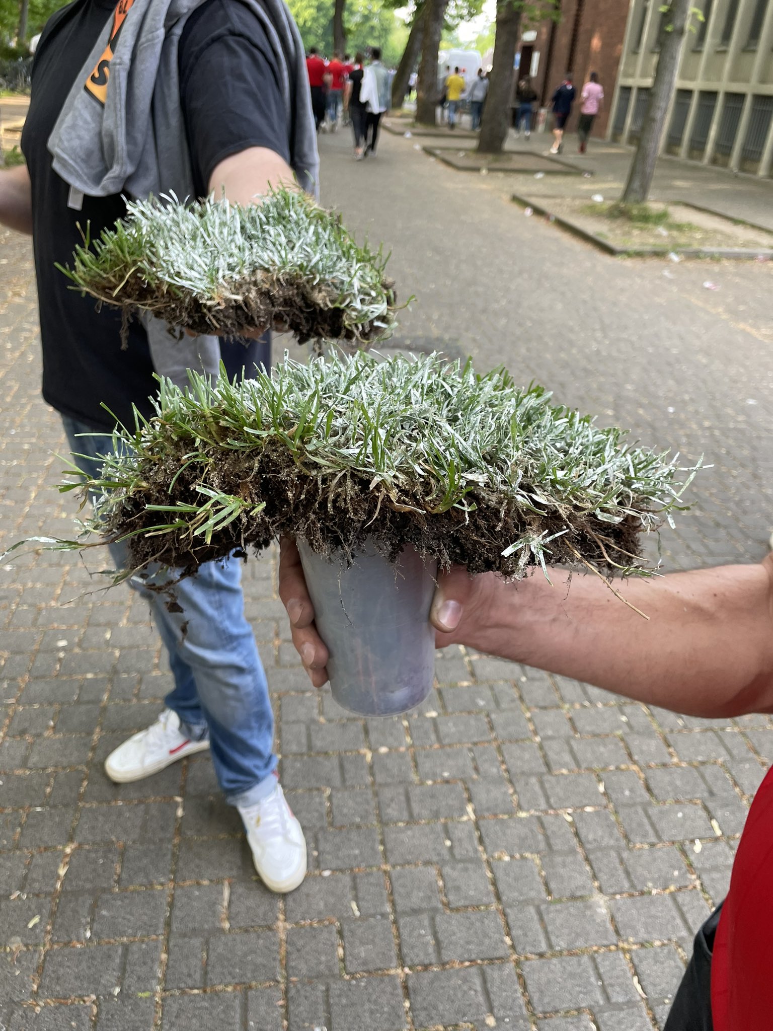 Archie Rhind-Tutt on Twitter: