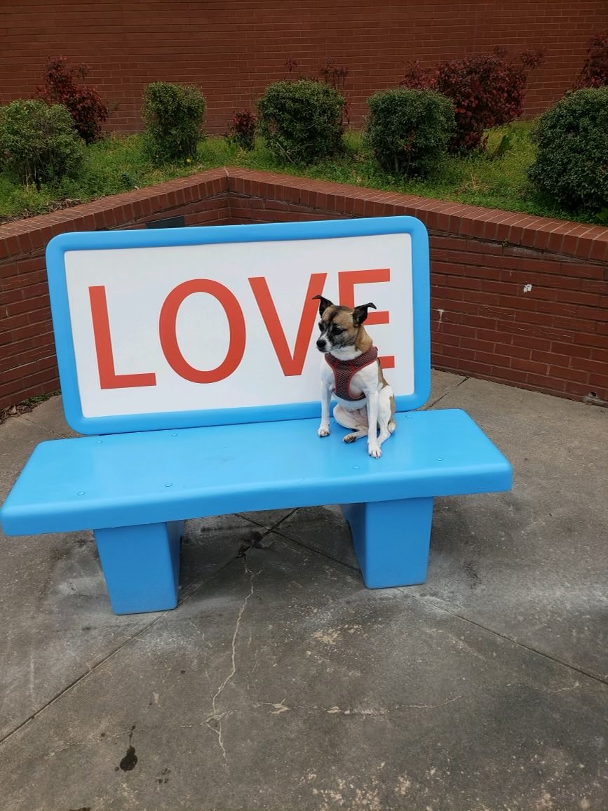 loveseatworld's tweet photo. Puppy love! #loveseatpb #art #publicart #love #puppylove #doglover #loveseat #loveonmainpb #loveis #pinebluff #pinebluffarkansas ⁦@ASC701⁩ ⁦@eleonfreeman⁩ https://t.co/1tJ4fPYKz8