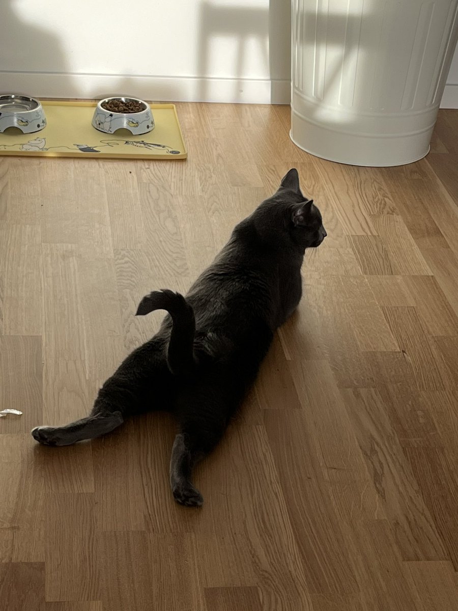 thatchoerry's tweet image. why does he do it like that