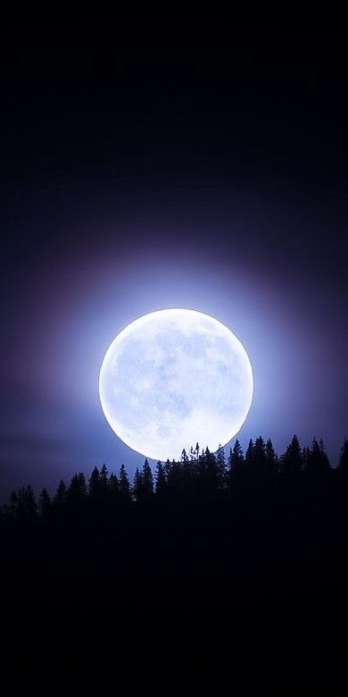 Goodnight my dear friend !
#photos #photography #night #moonlight