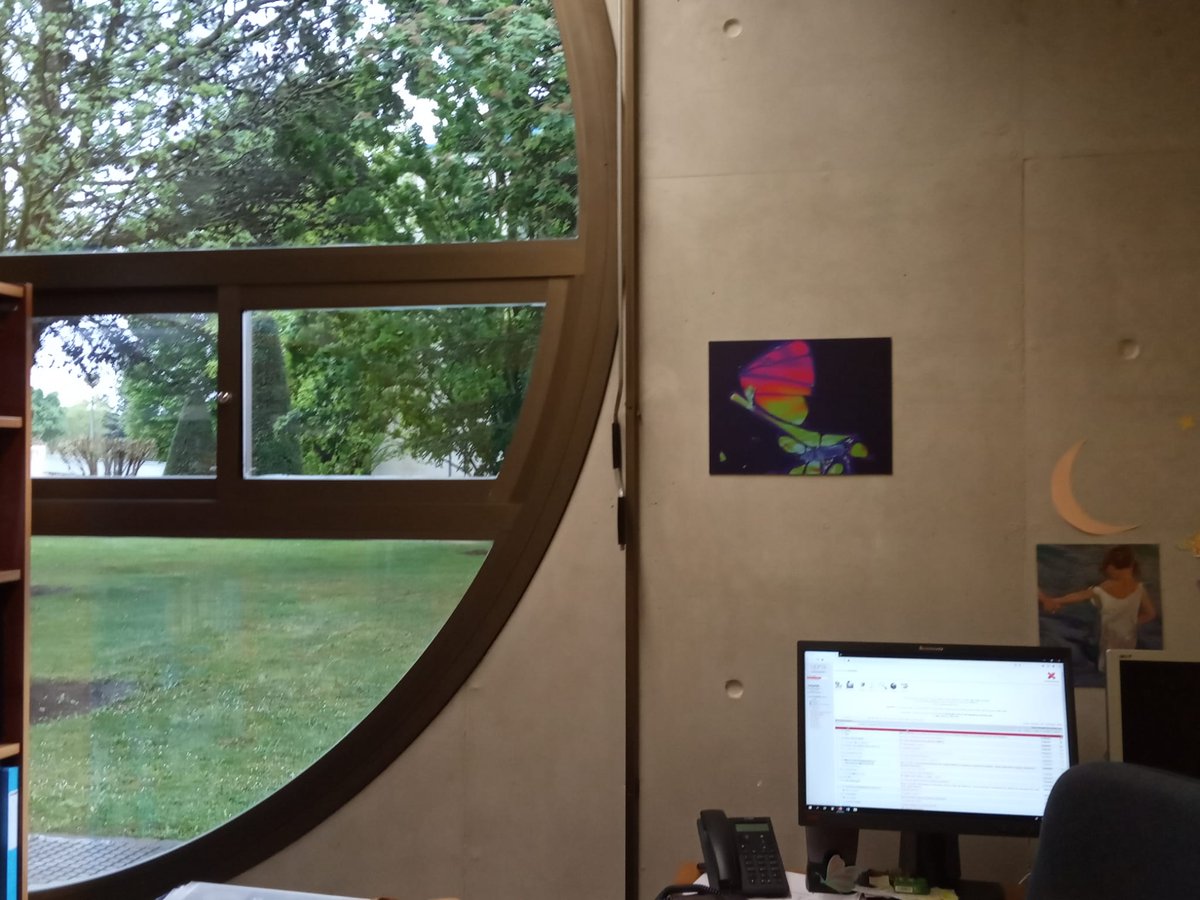 This is "The first flight of the buttefly" a #HiddenReflectionsArt that could be also decorating your desk space #NFT available <a href="/opensea/">OpenSea</a> 
opensea.io/assets/0x495f9…
#OpenseaNFT