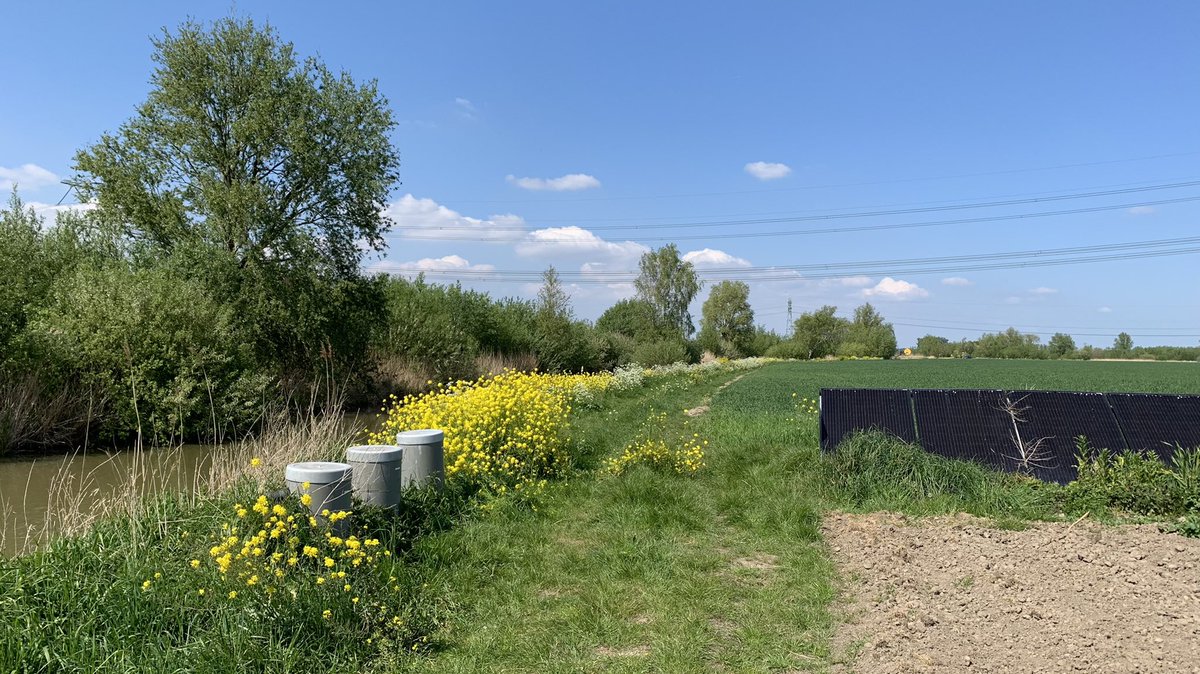 JokeGeldhof's tweet photo. Door klimaatverandering zijn peilgestuurde drainage en precisie-irrigatie steeds meer een must voor #duurzamelandbouw

Deze proeftuin klimaatadaptief bodemvocht beheer ligt in Mookhoek/Hoeksche Waard: innovatieve off-grid opstelling die stuurt op waterkwantiteit &amp; -kwaliteit 💙 https://t.co/HCBtMWv3Jw