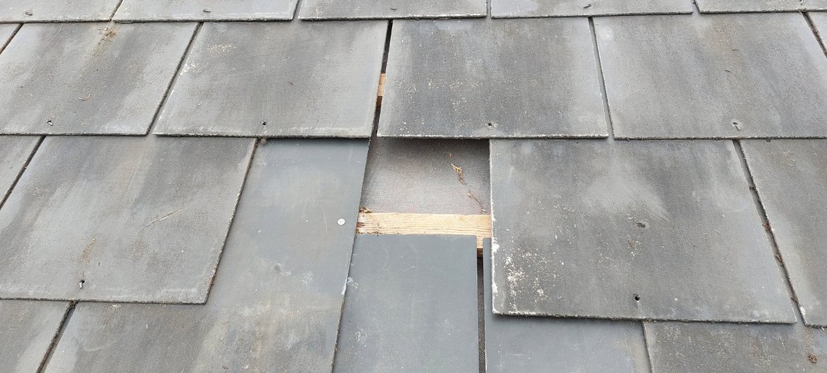 The hungry farmer. tweet media