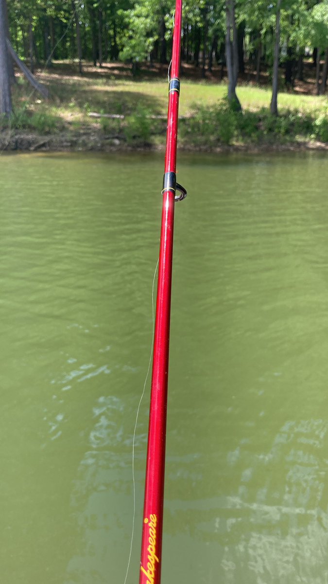 jsbtarheel95's tweet photo. Impromptu fishing at the lake #KerrLake https://t.co/HMCGP3iDsQ
