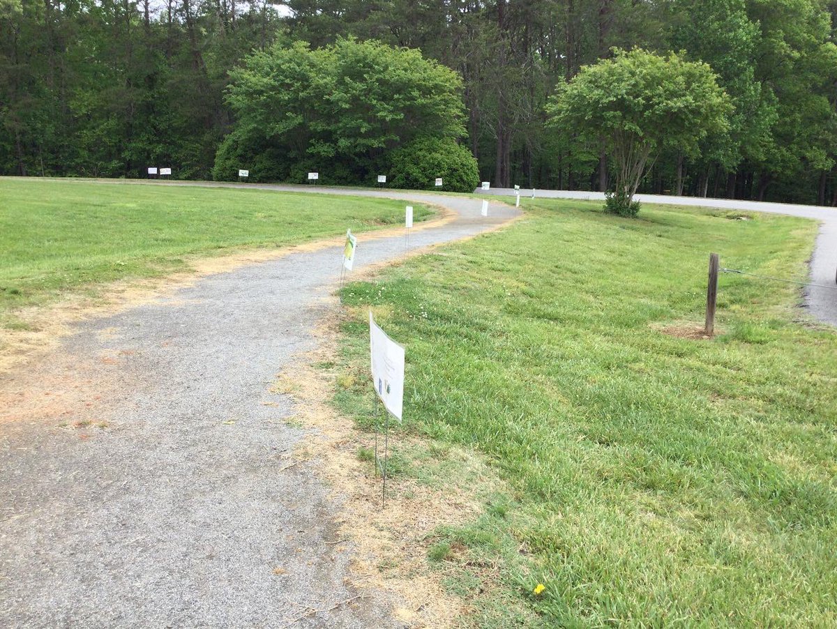YadkinL's tweet image. The Yadkin County Park (6600 Service Rd) StoryWalk is up from May 6-31. The story this month is “A Summery Saturday Morning” by Margaret Mahy. #letsmoveinlibraries #storywalk #yadkincountypark  #yadkinville #yadkinvillenc #margaretmahy  #asummerysaturdaymorning