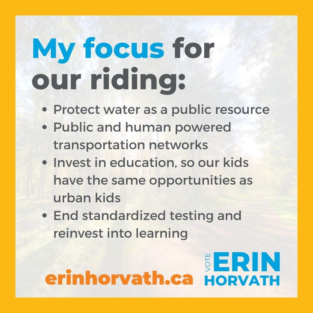 PSM_NDP's tweet photo. I want to focus on what really matters in this election. 
That includes affordable housing, supporting and listening to Indigenous Leaders, building a year-round green economy, OHIP coverage for mental health, better support for small businesses and more! 
Visit link in bio! https://t.co/WBhBVXEuRI