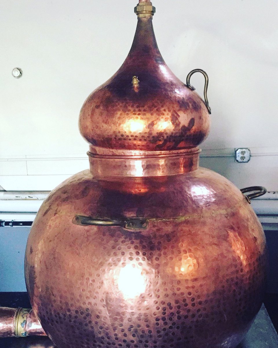 GreekDistillery's tweet photo. 7 years ago Gina was installed! #potstill #directfired https://t.co/yaGjxODjZe