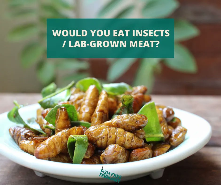 Fish Free February tweet media