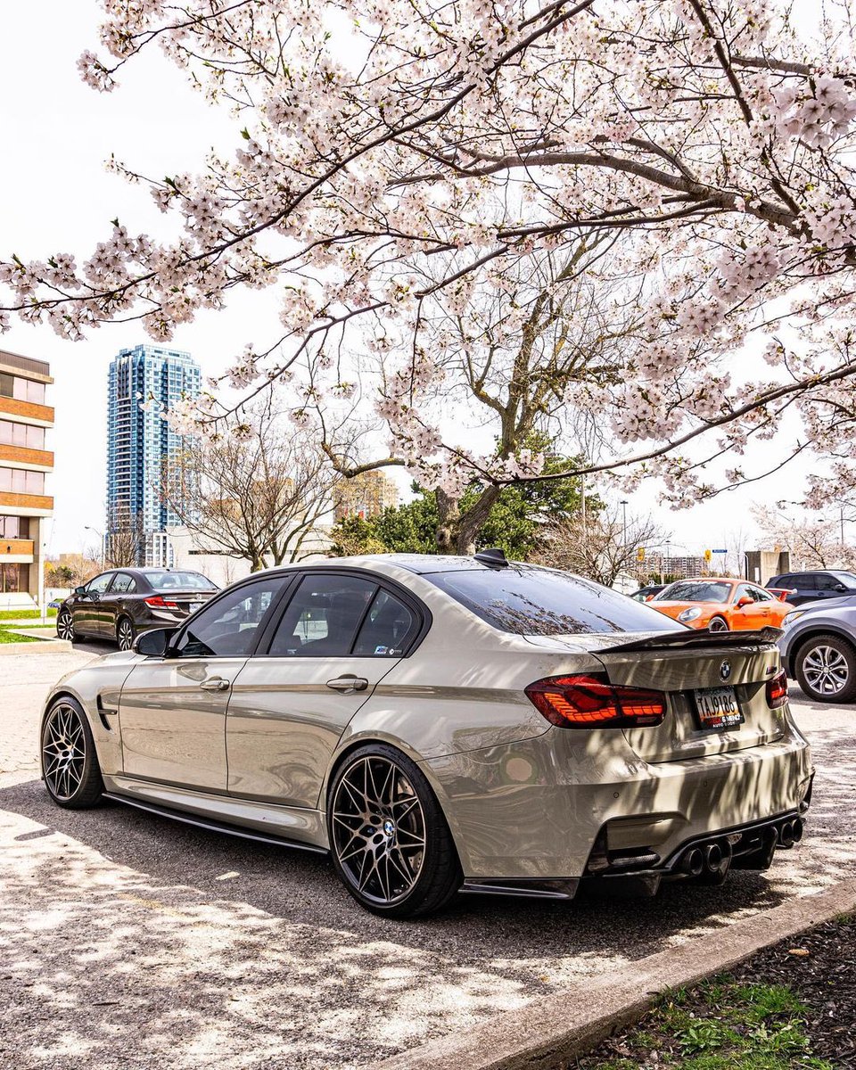 MPower_Daily's tweet photo. 美しい  🌸 https://t.co/Wkqxmx3XKP