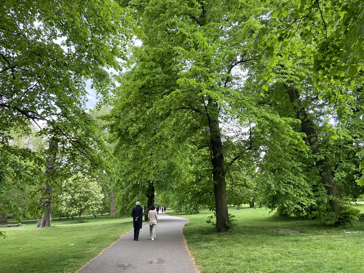 jack_marcher's tweet photo. #Kenpad, another excellent route. Kensington High Street is so miserably nasty for everyone travelling by all modes, but everything else about this route is perfect. ⭐️⭐️⭐️⭐️! https://t.co/3CZpjvG4ez