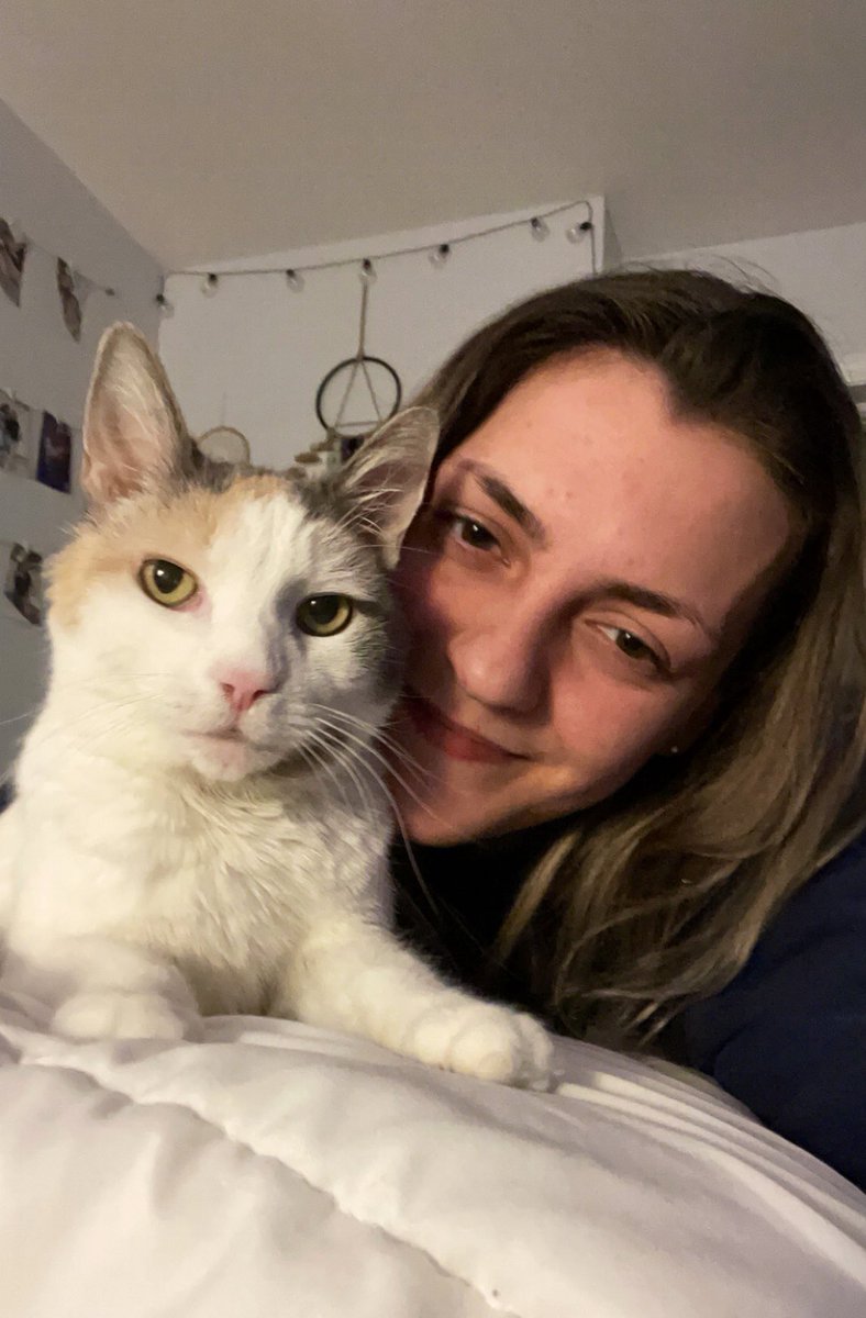 april_achey's tweet photo. Spending my Saturday finishing up final work before the semester ends &amp; my kitty is keeping me company.  She’s a Calico cat, what kind of cats do you have? #Caturday #CatsOfTwitter #kitty #cats #Calico #SaturdayMotivation #Saturday #SaturdayMood #SPM230 https://t.co/sjvD2o4YgJ