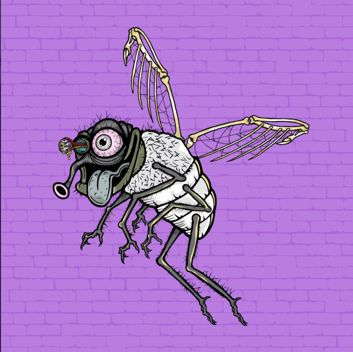 funky_flies's tweet photo. Who’s ready to mutate? #zzz 🪰🔥 https://t.co/GtMZheE2jo