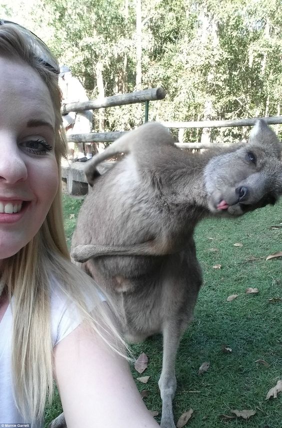 lol ! A funny selfie ! #photos #photography #selfie #kangaroo