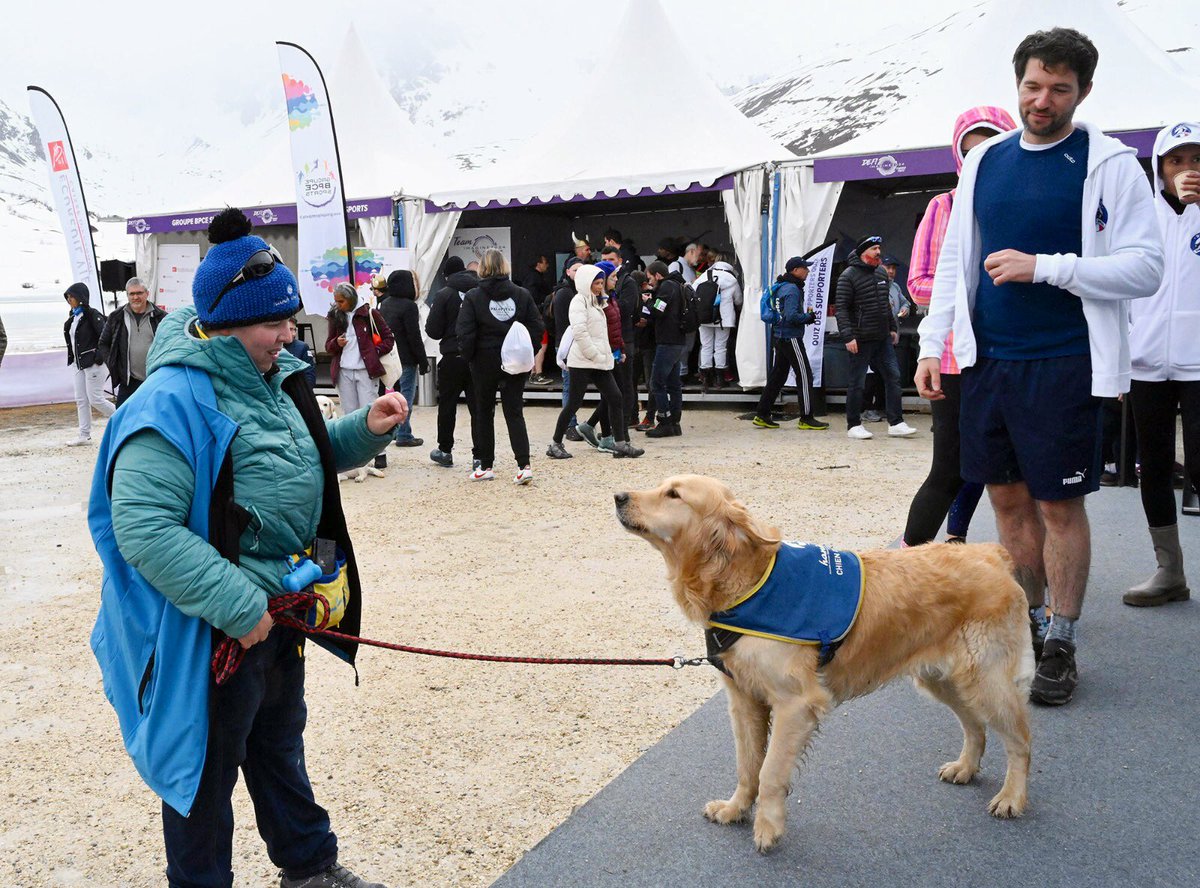 GroupeBPCE's tweet photo. Sur le Village du #DEFIMAGINE2024, l’association @handichienscom a fait de la sensibilisation auprès des collaborateurs du groupe sur l’utilité des chiens d’assistance auprès des personnes en situation de #handicap https://t.co/vj40YSuOpB