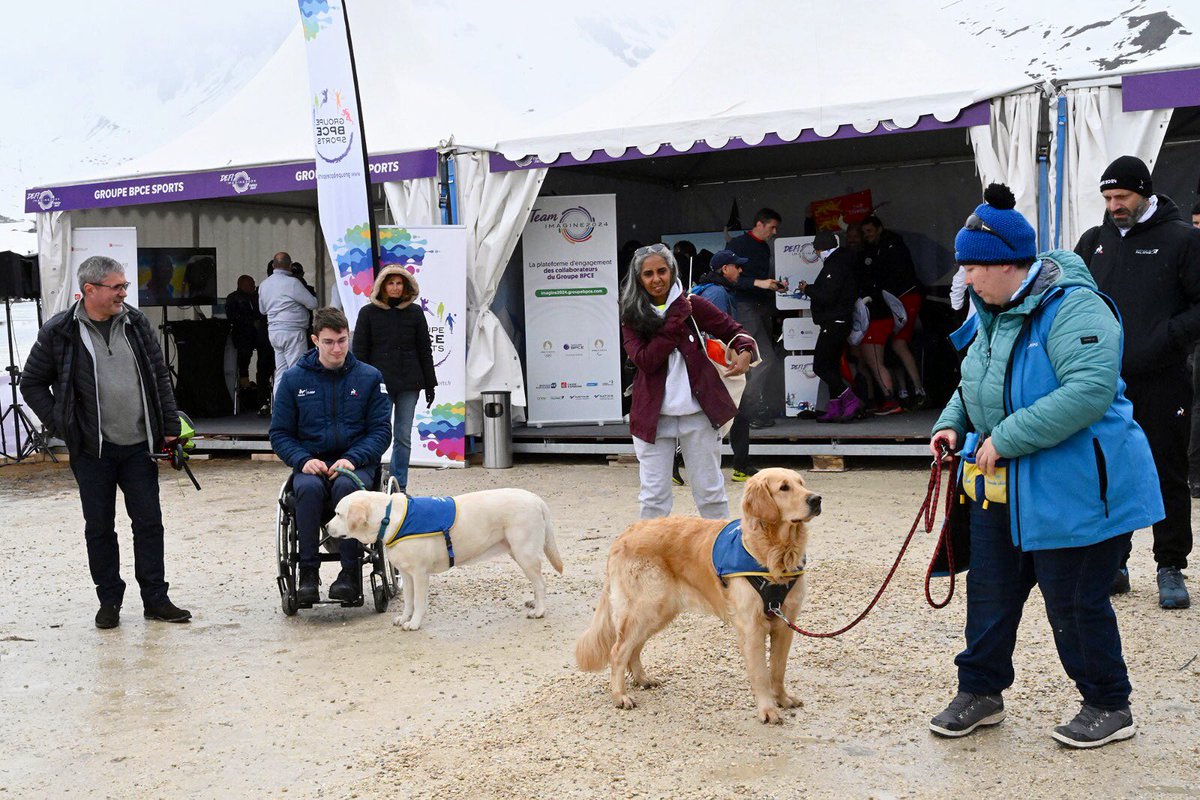 GroupeBPCE's tweet photo. Sur le Village du #DEFIMAGINE2024, l’association @handichienscom a fait de la sensibilisation auprès des collaborateurs du groupe sur l’utilité des chiens d’assistance auprès des personnes en situation de #handicap https://t.co/vj40YSuOpB