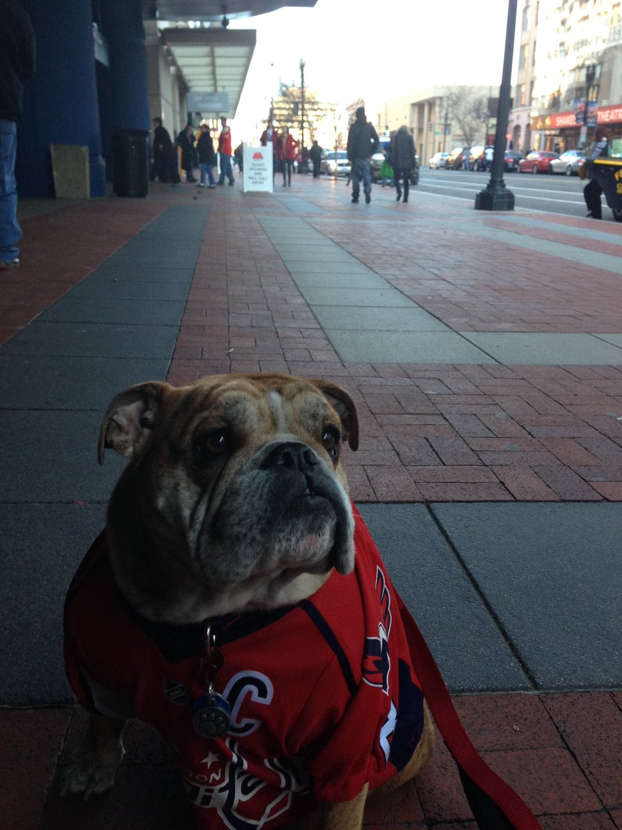 OvietheBulldog's tweet photo. IT’S PLAYOFF HOCKEY O’CLOCK! #ALLCAPS #LETSGOCAPS #ROCKTHERED #COACHSAFFYBEAN is ready! Some pics from 2018 and earlier from outside @CapitalOneArena  including the bromance of @WesJohnsonVoice &amp; Ovie 

.@SaffyBean is hoping for some #VictoryCookies #Game3 https://t.co/4VlfSJ1O5q