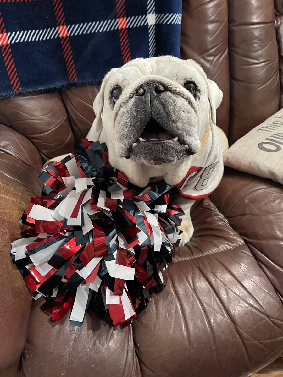 OvietheBulldog's tweet photo. IT’S PLAYOFF HOCKEY O’CLOCK! #ALLCAPS #LETSGOCAPS #ROCKTHERED #COACHSAFFYBEAN is ready! Some pics from 2018 and earlier from outside @CapitalOneArena  including the bromance of @WesJohnsonVoice &amp; Ovie 

.@SaffyBean is hoping for some #VictoryCookies #Game3 https://t.co/4VlfSJ1O5q